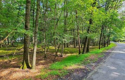 Yana Lane, Penn Forest Twp, PA 18210