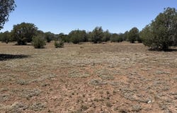 5527 N Randall Boulevard, Williams, AZ 86046