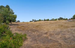 2773 Cheyenne CT, IONE, CA 95640