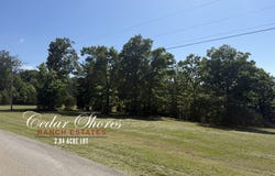 1145 Lake Point, Kissee Mills, MO 65680
