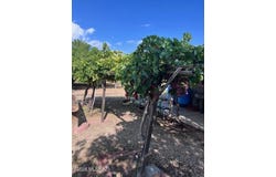 6044 W High Desert Road, Willcox, AZ 85643