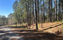 6.1 acres Bent Twig Lane, Brookwood, AL 35444