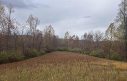 TBD Painters Fork, Frametown, WV 26623
