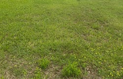 Odom, Hooks, TX 75561