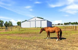 7212 County Road 4, Brighton, CO 80603