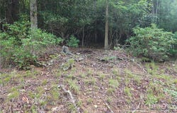 274 Poplar Drive, Beech Mountain, NC 28604