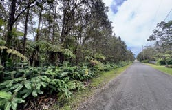 10TH ST, Volcano, HI 96785