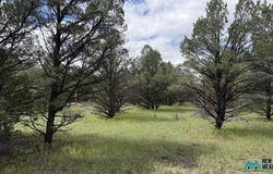 85 Largo Canyon Loop, Quemado, NM 87829