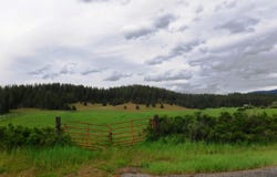 Woolard Rd, Colbert, WA 99005