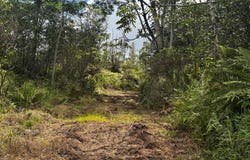 40TH AVE, Keaau, HI 96749