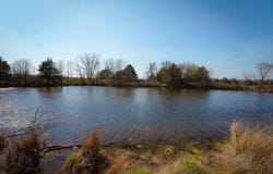 Wiseman Rd., Marshfield, MO 65706