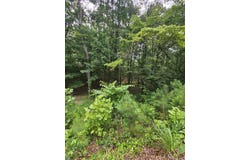 Pineywood Drive, Ringgold, GA 30736