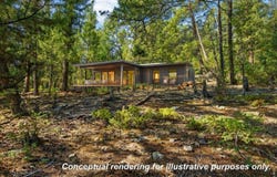 12907 S Cindy Ave, Pine, CO 80470