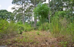 79 Askin Place, Culloden, GA 31016