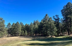 1 CHAPEL RD & CR A34, Rociada, NM 87742