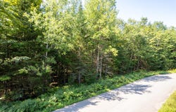 McGrath Pond Loop Road lot: 3, Belgrade, ME 04917