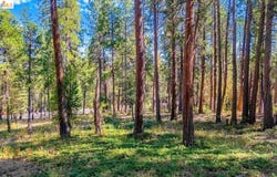 4610 E Highway 4, Murphys, CA 95247
