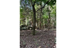 Pine Drive lot: 39, Garfield, AR 72732