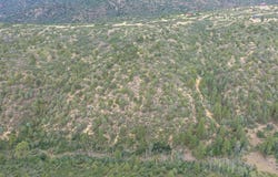 Roberts Ridge Road, Hesperus, CO 81326