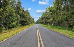 NE 206th Avenue, Old Town, FL 32680