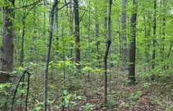 RT Davis, Spencer, TN 38585-5418
