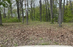 820 E Indiana Street, New Buffalo, MI 49117