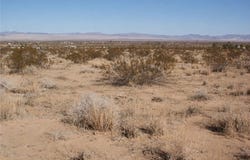 426 Gerber Avenue 428, Landers, CA 92285