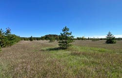 Crooked River Dr - Tract C, Park Rapids, MN 56470