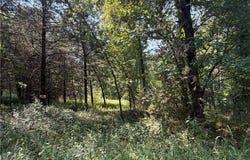 41 +/- acres Inlet Road, Versailles, MO 65084