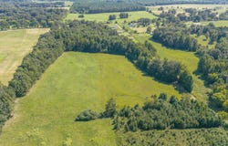 Co Rd 116, Waterloo, AL 35677