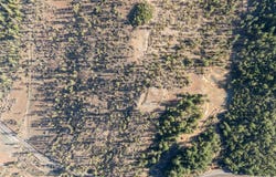 3300 Waldo Road, Cave Junction, OR 97523