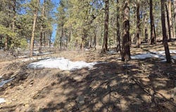 Groves Drive lot: 9, Durango, CO 81301