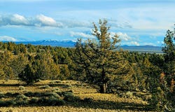 Merrill Road, Brothers, OR 97712