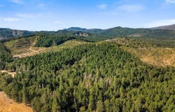 450 Brown Road, O'Brien, OR 97534