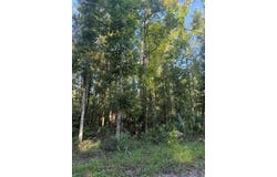 NE 667th St, Old Town, FL 32680