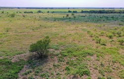 29.56 Acres Ballard Road, Jacksboro, TX 76458
