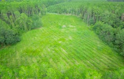 Son Thomas Road, Patterson, GA 31516