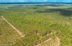 COUNTY ROAD 229, Sanderson, FL 32087