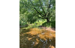 455 BIALOZYNSKI Road, PULASKI, WI 54162