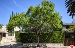 8713 Rangely Ave, West Hollywood, CA 90048