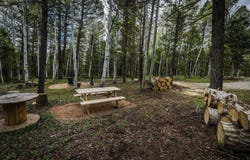 513 Crest Drive, Cimarron, CO 81220