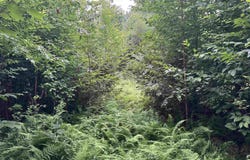 185 Valley View Road, Dover, VT 05356