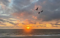 301 Carolina Beach Avenue S, Carolina Beach, NC 28428