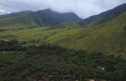 Lahaina, HI 96761