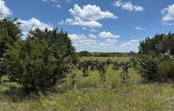 Private Road 1743B, Clifton, TX 76634
