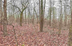 37 High Point Drive, Mayflower, AR 72106