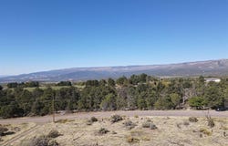 19296 Surface Creek Road, Cedaredge, CO 81413