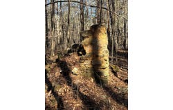 Carl Mathis Road, Talbotton, GA 31827