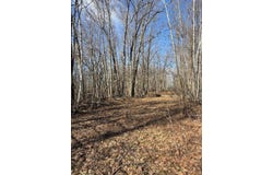 Woodchuck Trail, Cushing, MN 56443