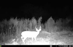 Centerville, Tylertown, MS 39667